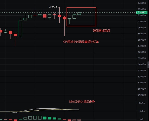 奇亚币(XCH)异军突起：这个环保币种凭什么逆势上涨？