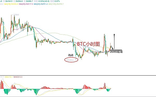 LittleMami走出亚洲：在伊斯坦布尔绽放的加密新星