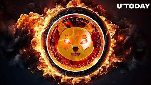 资深投资人忠告：这些山寨币坑太深，新手千万别碰！