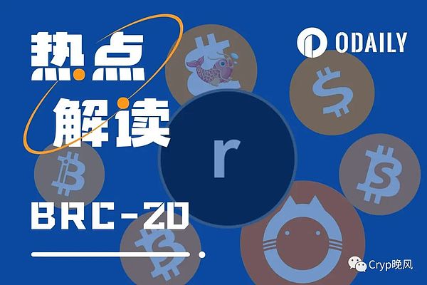 从产品经理到币圈红人：九儿的加密世界生存指南