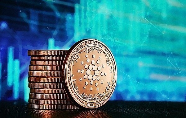 市场筑底信号显现，圆弧顶形态下的投资策略