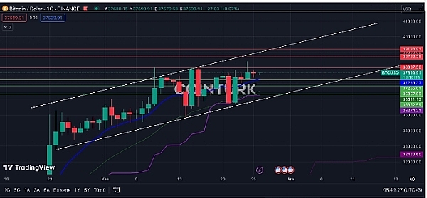 3000点收益稳稳到手，10月17日行情深度解析