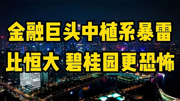 山寨币市场动态：五大潜力币关键点位全解析