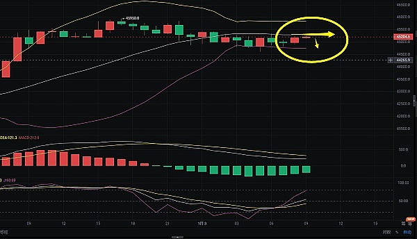 Web3年度盛典：IOST与OKCoinJapan邀你共赴东京之约