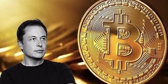 卡尔达诺蓄势待发：ADA交易量暴增背后的牛市信号