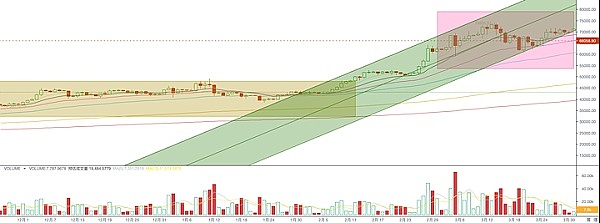 NFT巨鲸生存实录：有人日进斗金 有人亏到怀疑人生