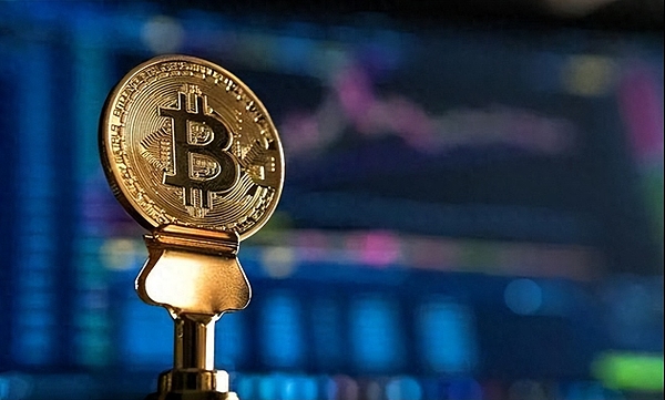 BH《黑洞联盟》：凤凰涅槃后的华丽转身