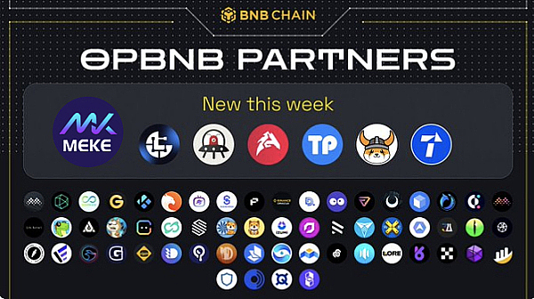 为什么XRP可能成为下一轮牛市的领头羊？